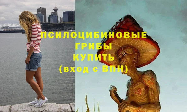 кокс Абаза