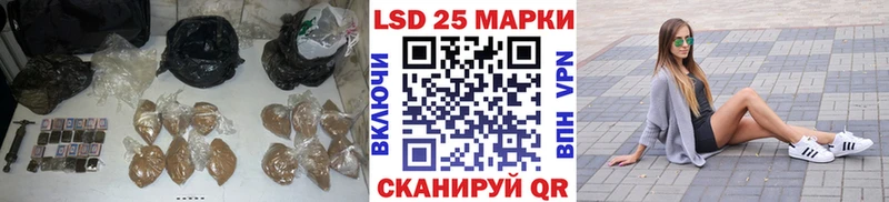 наркотики  Шенкурск  ЛСД экстази кислота 