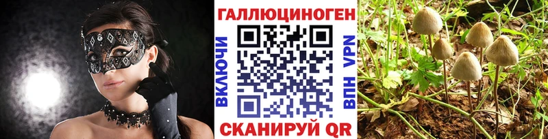 mega вход  Шенкурск  Галлюциногенные грибы Magic Shrooms 
